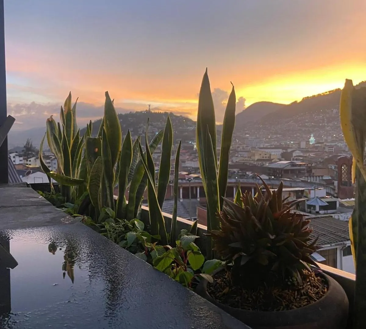 Hostal La Guayunga Rooftop Quito Albergue